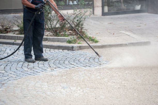 Best Dumpster Area Cleaning  in Plainville, KS